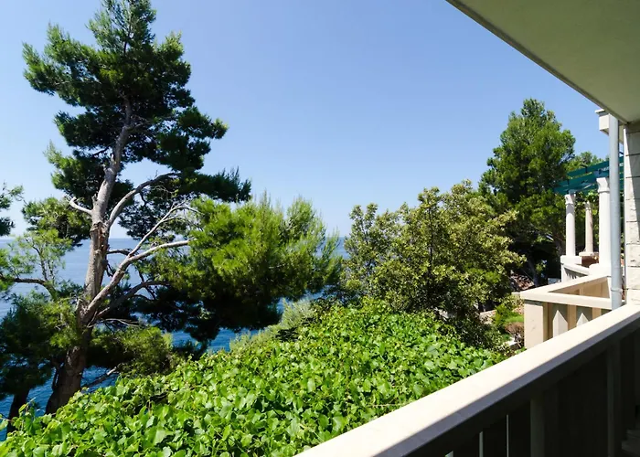 Plavac Mali-3 By Interhome Apartman